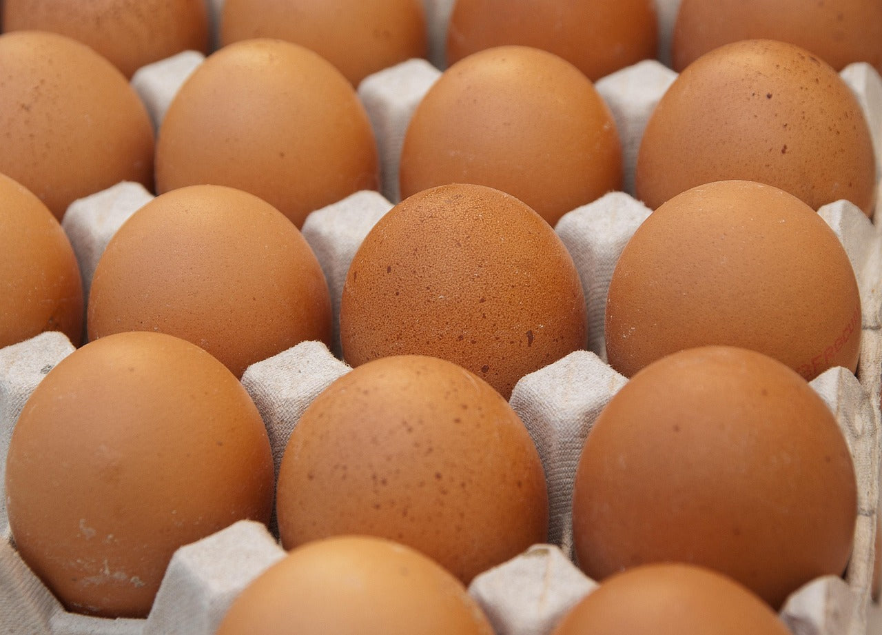 Free Range Chicken Eggs