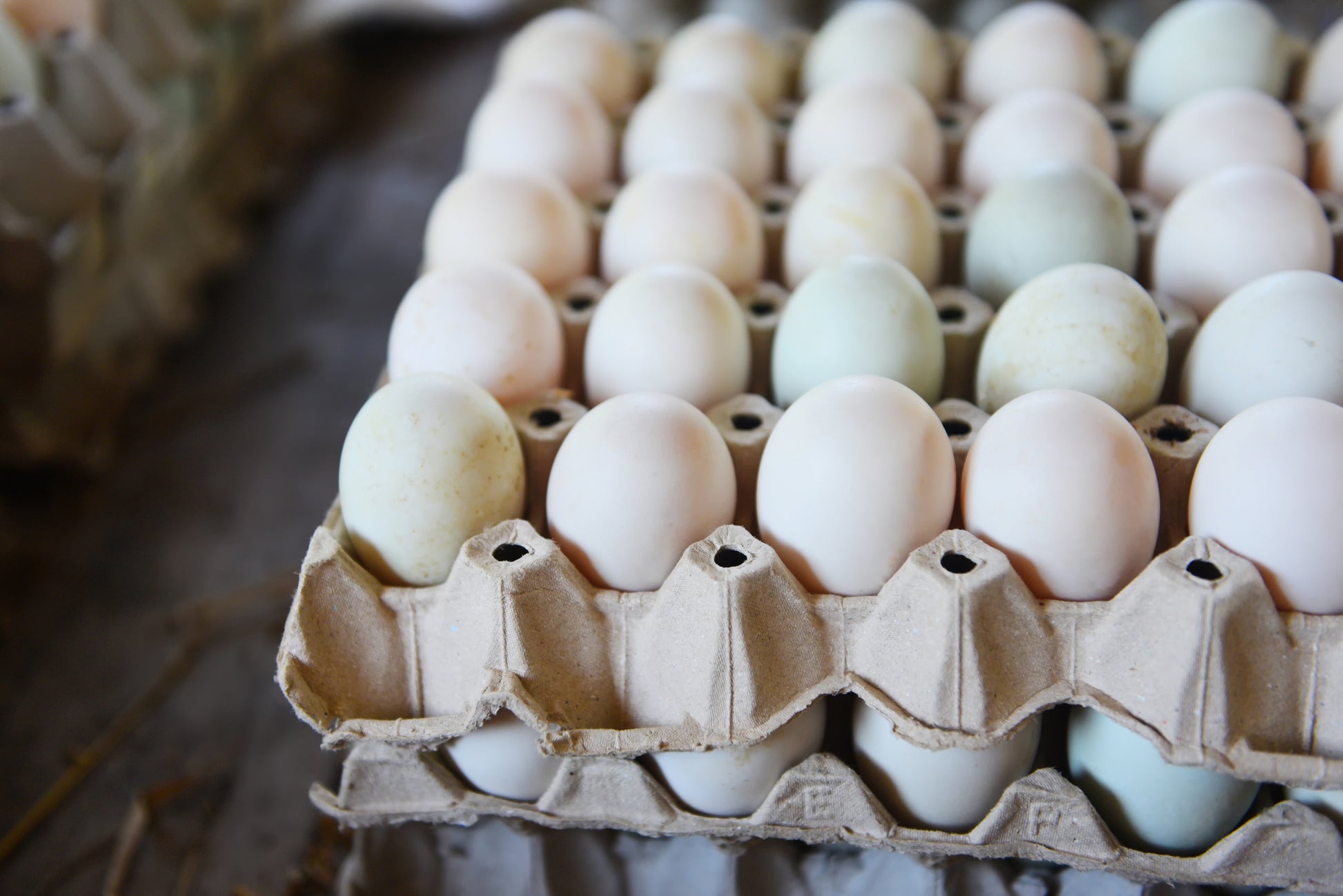 Free Range duck Eggs